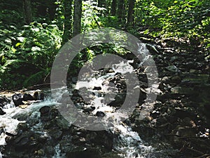 ÃÂ¡reek in a mountain forest. Caucasus mountains photo